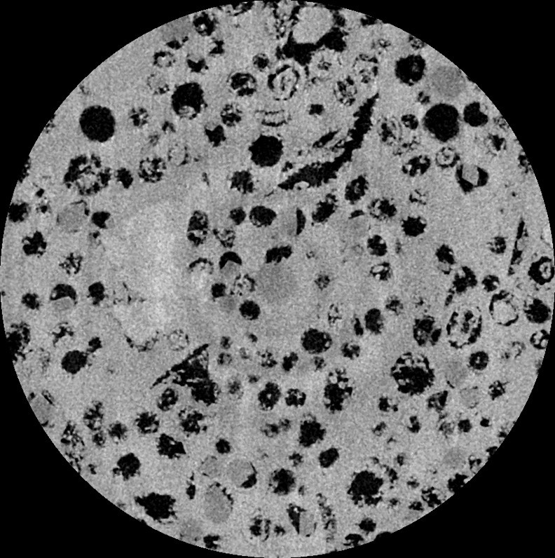 Micro-CT in Geology & Petrology 3